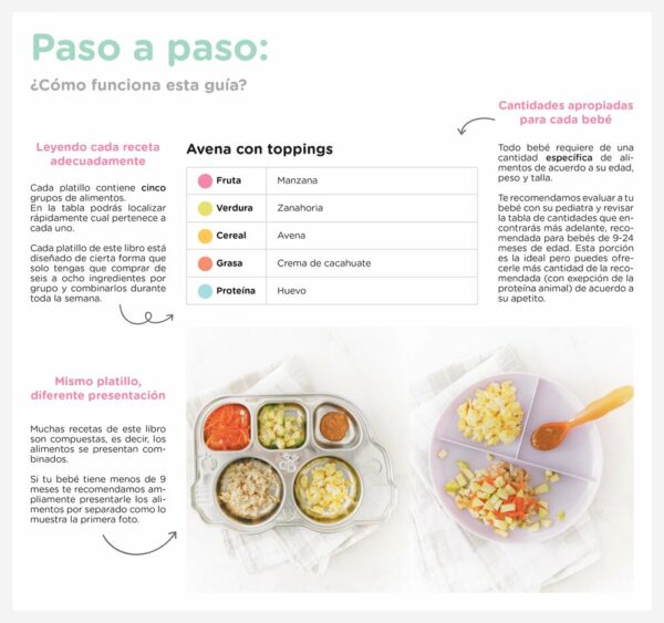 recetario de alimentacion complementaria