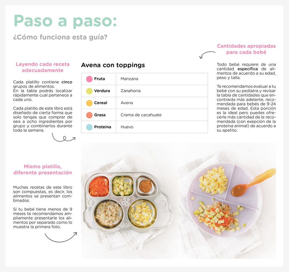 recetario de alimentacion complementaria